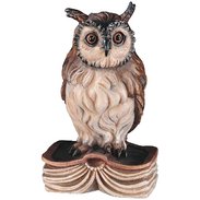 Owl on book 