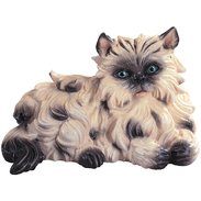 Edelkatze 