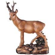Capriolo 