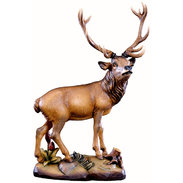 Hirsch 