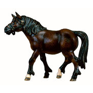 Cavallo morello 