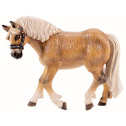 Haflinger horse 