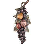 Group of fruits Grape Harvest 