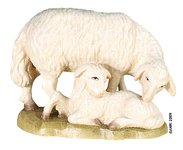 Pecora con agnello 