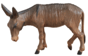 Donkey 