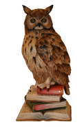 Gufo su libri 