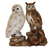 Owl group 
