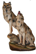 Wolf group 