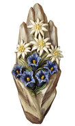 Bas - relief Edelweiss 