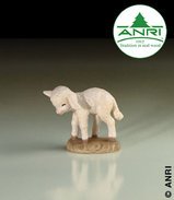 Sheep standing 