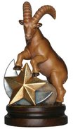 Capricorn 