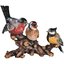Vogelgruppe 6004 (4 cm, lasiert)
