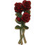 Rosenstrauss p104 (22 cm, )