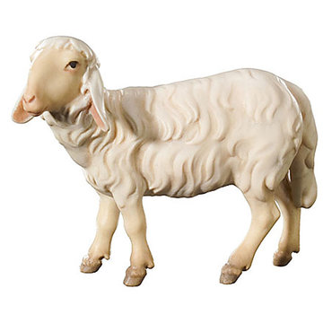 Pecora destra 600--47 (9 cm, colore)