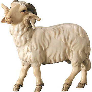 Ariete 600--50 (9 cm, colore)