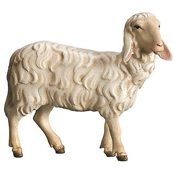 Pecora 600--52 (9 cm, colore)