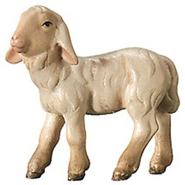 Agnello 600--60 (9 cm, colore)