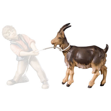 Goat 800--57 (3,15", color)