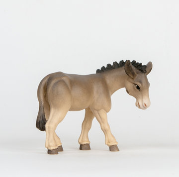 Donkey ALR411 (3,94", color)