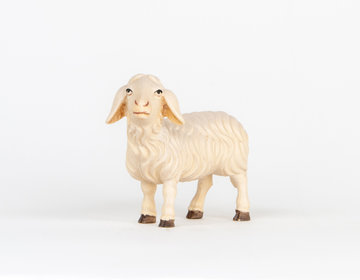 Sheep standing ALR413 (3,94", color)
