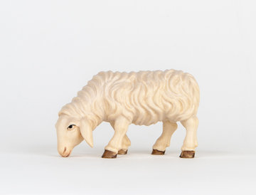 Sheep eating ALR414 (3,94", color)