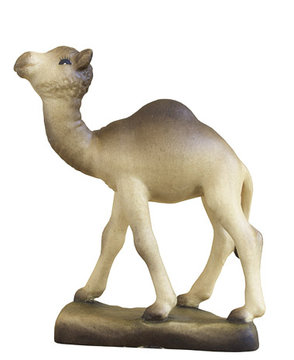 Kameljunges A71028 (7,5 cm, lasiert)