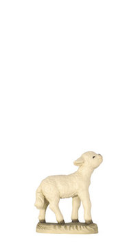 Schaf A71046 (7,5 cm, lasiert)
