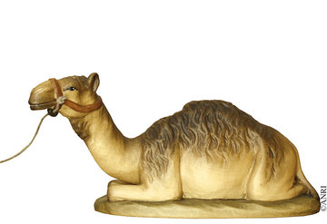 Dromedario giacente AN79700-25 (7,5 cm, colore)