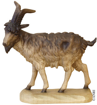Caprone AN79700-42 (7,5 cm, colore)