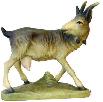 Capra AN79770-49 (10 cm, colore)