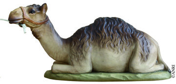 Dromedario giacente AN79770-53 (10 cm, colore)