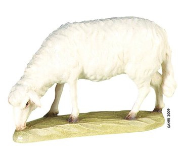 Schaf äsend AN79700-12 (7,5 cm, lasiert)
