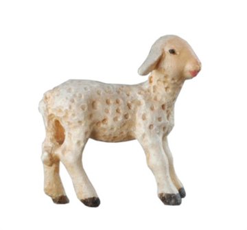 Agnellino BH5093 (12 cm, colore)
