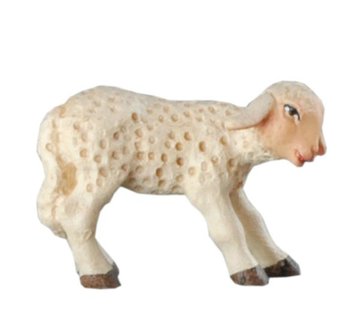 Agnellino BH5094 (12 cm, colore)