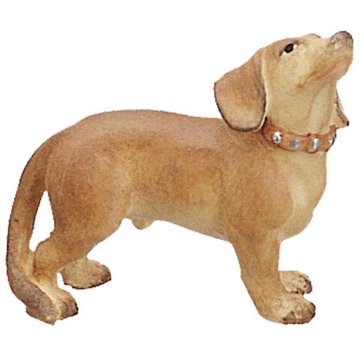 Dachshund BHDA (2,36", color)