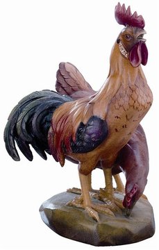 Cock and hen BHHH (1,97", color)