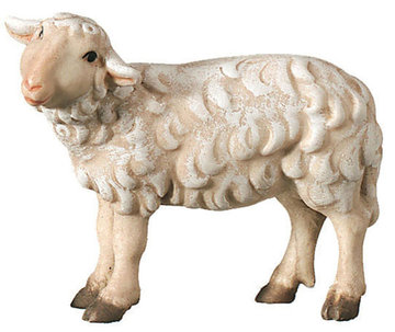 Schaf stehend linksschauend SA2460 (8 cm, lasiert)