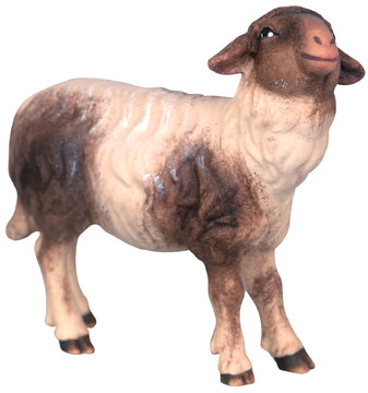 Sheep with black marks SA24613 (3,15", color)