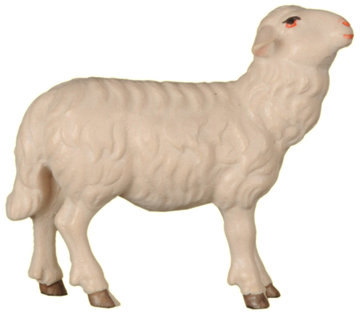 Schaf zu Fütterer - gerade SA2462 (8 cm, lasiert)