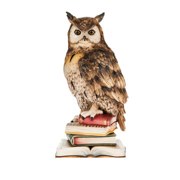 owl on books P6001 (2,36", color)