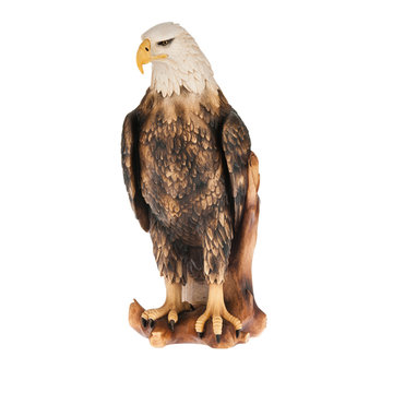 white head eagle P6004B (2,76", color)