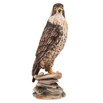 peregrine falcon P6013 (3,94", color)