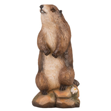marmot P6018 (1,18", color)