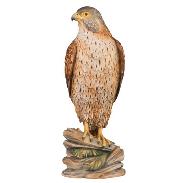 kestrel P6021 (11,81", color)