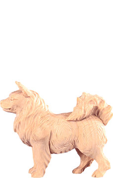 Spitzhund R.K. DE4486 (15 cm, lasiert)