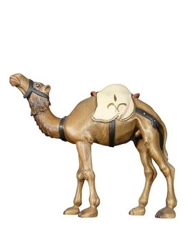 Kamel RA111058 (10 cm, lasiert)