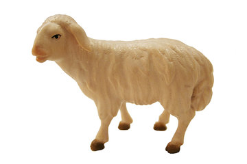 Schaf schauend RA111053 (10 cm, lasiert)