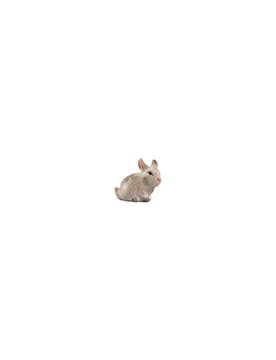 IN Young hare EI052089 (3,15", color)