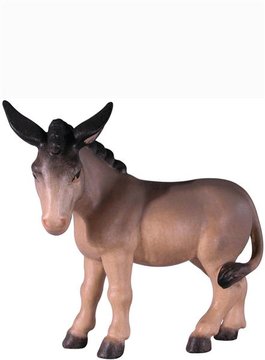 IN Asino EI52013 (8 cm, colore)