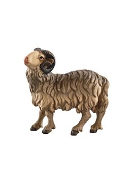 SI Ariete marrone EI52016B (8 cm, colore)